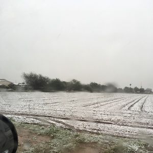 Meet your Posher, Joe